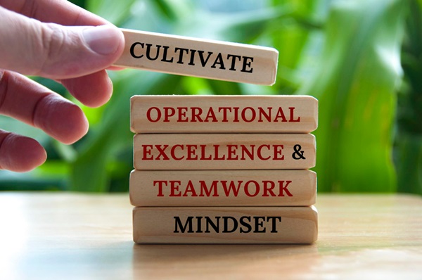 operational excellence elements